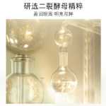 오카디 투 크랙 효모 아이 크림의 그림