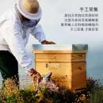 겔랑 황제 비 아이 크림 15ml의 그림