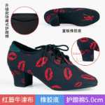 전문 라틴 댄스 신발의 그림