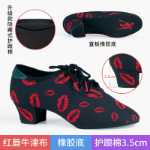 전문 라틴 댄스 신발의 그림