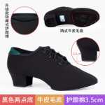 전문 라틴 댄스 신발의 그림