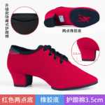 전문 라틴 댄스 신발의 그림