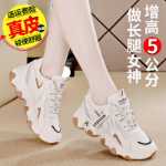 인케이스 가죽 팝 신발 여성캐주얼 신발의 그림