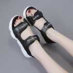 스포츠 해변 여성 샌들의 그림