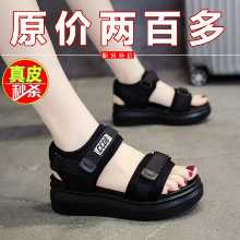 스포츠 샌들 여성 신발의 그림