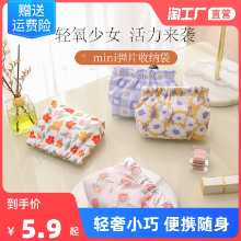 휴대용 소형 미니 백의 그림