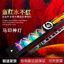 말 프린트 신 빛 붉은 용 물고기 빛 브론토 사우루스 보편적 인 색상 향상 다이빙 조명 수중 조명 어항 조명 LED 수족관 조명의 그림