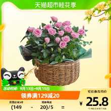 발렌타인 데이 꽃 패키지의 그림