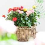 발렌타인 데이 꽃 패키지의 그림