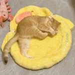 잠자는 고양이 수면 매트 고양이 둥지 겨울 따뜻한 바닥 매트 애완 동물 용품 겨울 고양이 침대 올 시즌 유니버설의 그림