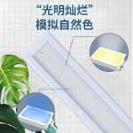 LED 어항 조명 스탠드 잔디 탱크 조명 수족관 LED 조명 스탠드 에너지 절약 스플래시 방지 조명 스탠드 조명 스탠드 조명 물고기 수생 식물 조명의 그림