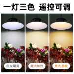 태양 광 조명 야외 펜던트 정원 조명 홈 실내 슈퍼 밝은 야외 방수 정원 발코니 조명 벽 조명의 그림