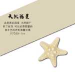 소라게 사료 코코넛 플레이크 동결 건조 남극 크릴 말린 피닉스 빵벌레 생선 과일 야채 불가사리의 그림