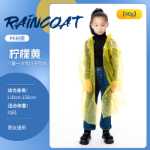 아동용 일회용 매킨토시 야외 하이킹 래프팅 등산 놀이터 물 프로젝트 일회용 우비 판초의 그림