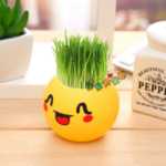 크리에이티브 사무실 화분 긴 잔디 머리 인형 멋진 표현 DIY 유리 병 음이온 미니 심기 선물의 그림