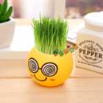 크리에이티브 사무실 화분 긴 잔디 머리 인형 멋진 표현 DIY 유리 병 음이온 미니 심기 선물의 그림
