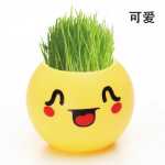 크리에이티브 사무실 화분 긴 잔디 머리 인형 멋진 표현 DIY 유리 병 음이온 미니 심기 선물의 그림