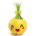 크리에이티브 사무실 화분 긴 잔디 머리 인형 멋진 표현 DIY 유리 병 음이온 미니 심기 선물의 그림