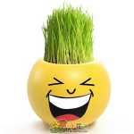 크리에이티브 사무실 화분 긴 잔디 머리 인형 멋진 표현 DIY 유리 병 음이온 미니 심기 선물의 그림