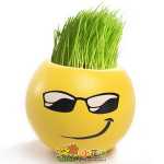 크리에이티브 사무실 화분 긴 잔디 머리 인형 멋진 표현 DIY 유리 병 음이온 미니 심기 선물의 그림