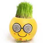 크리에이티브 사무실 화분 긴 잔디 머리 인형 멋진 표현 DIY 유리 병 음이온 미니 심기 선물의 그림