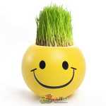 크리에이티브 사무실 화분 긴 잔디 머리 인형 멋진 표현 DIY 유리 병 음이온 미니 심기 선물의 그림