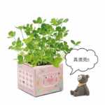 크리에이티브 사무실 화분 긴 잔디 머리 인형 멋진 표현 DIY 유리 병 음이온 미니 심기 선물의 그림