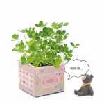 크리에이티브 사무실 화분 긴 잔디 머리 인형 멋진 표현 DIY 유리 병 음이온 미니 심기 선물의 그림