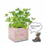 크리에이티브 사무실 화분 긴 잔디 머리 인형 멋진 표현 DIY 유리 병 음이온 미니 심기 선물의 그림