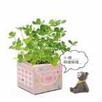 크리에이티브 사무실 화분 긴 잔디 머리 인형 멋진 표현 DIY 유리 병 음이온 미니 심기 선물의 그림