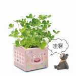 크리에이티브 사무실 화분 긴 잔디 머리 인형 멋진 표현 DIY 유리 병 음이온 미니 심기 선물의 그림