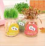 음이온 수경 재배 화분을 소중히 여기는 DIY 식물 크리에이티브 사무실 데스크탑 마이크로 조경 선물 화분 잔디 인형의 그림