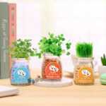 음이온 수경 재배 화분을 소중히 여기는 DIY 식물 크리에이티브 사무실 데스크탑 마이크로 조경 선물 화분 잔디 인형의 그림