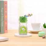 음이온 수경 재배 화분을 소중히 여기는 DIY 식물 크리에이티브 사무실 데스크탑 마이크로 조경 선물 화분 잔디 인형의 그림