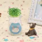 음이온 수경 재배 화분을 소중히 여기는 DIY 식물 크리에이티브 사무실 데스크탑 마이크로 조경 선물 화분 잔디 인형의 그림