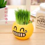 음이온 수경 재배 화분을 소중히 여기는 DIY 식물 크리에이티브 사무실 데스크탑 마이크로 조경 선물 화분 잔디 인형의 그림