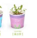 음이온 수경 재배 화분을 소중히 여기는 DIY 식물 크리에이티브 사무실 데스크탑 마이크로 조경 선물 화분 잔디 인형의 그림