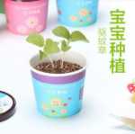 음이온 수경 재배 화분을 소중히 여기는 DIY 식물 크리에이티브 사무실 데스크탑 마이크로 조경 선물 화분 잔디 인형의 그림
