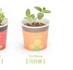 음이온 수경 재배 화분을 소중히 여기는 DIY 식물 크리에이티브 사무실 데스크탑 마이크로 조경 선물 화분 잔디 인형의 그림