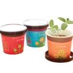 크리 에이 티브 미니 녹색 화분 사무실 작은 식물 심기 데스크탑 아기 DIY 녹지 오프닝 선물 K의 그림