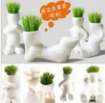 원피스 DIY 사무실 미니 식물 화분 잔디 성장하는 작은 백인 잔디 인형 X 연인 선물의 그림