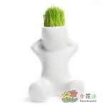 원피스 DIY 사무실 미니 식물 화분 잔디 성장하는 작은 백인 잔디 인형 X 연인 선물의 그림