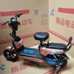 전기 자동차 성인 이륜 전기 자동차 자동차 배터리 자동차 전기 자전거 이동성 스쿠터 레저 자동차 48V의 그림