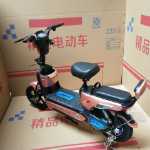 전기 자동차 성인 이륜 전기 자동차 자동차 배터리 자동차 전기 자전거 이동성 스쿠터 레저 자동차 48V의 그림