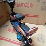 전기 자동차 성인 이륜 전기 자동차 자동차 배터리 자동차 전기 자전거 이동성 스쿠터 레저 자동차 48V의 그림