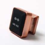 욕실 욕실 사물함 사우나 사물함 체육관 목욕 사물함 전자 자물쇠 도매 센서 자물쇠의 그림