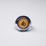 애니메이션 반지의 그림