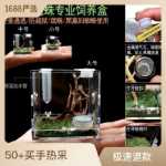 점프 거미 먹이 상자 작은 비 트랩 아쿠아 스케이프 상자 가습기 먹이 포트가있는 플로리다 점프 거미 곤충의 그림