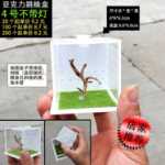 점프 거미 먹이 상자 작은 비 트랩 아쿠아 스케이프 상자 가습기 먹이 포트가있는 플로리다 점프 거미 곤충의 그림