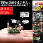 점프 거미 먹이 상자 작은 비 트랩 아쿠아 스케이프 상자 가습기 먹이 포트가있는 플로리다 점프 거미 곤충의 그림